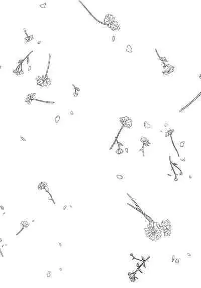 Noazami no Koi - The love of field thistle.