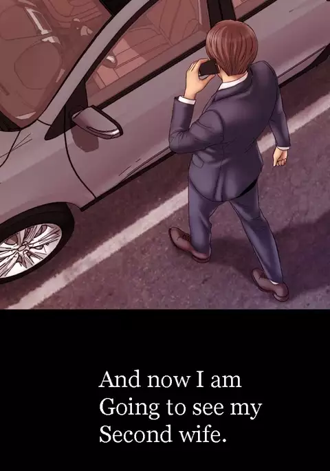 My Wives Ch.1-29
