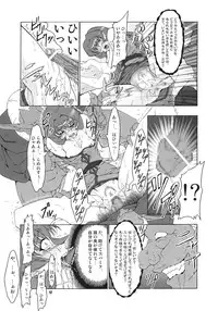(C70) [FAKESTAR (Miharu)] N (Record of Lodoss War)