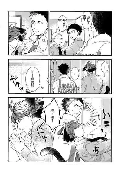 我想成为小岩的猫4 I want to become Iwa-chan's Cat! 4