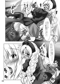 (C78) [Sakuya17sai (Moyomoto LV48)] Autumn Rice Field (Touhou Project)