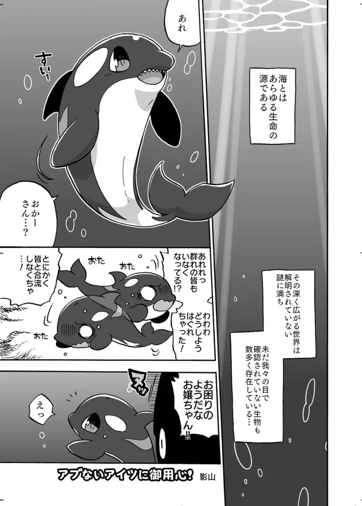 Shachi Ero wa Ikaga!?