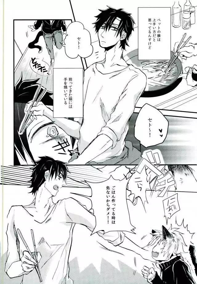 ウソツキネコ