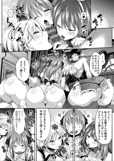 Harem Maid No Damedame Ecchi