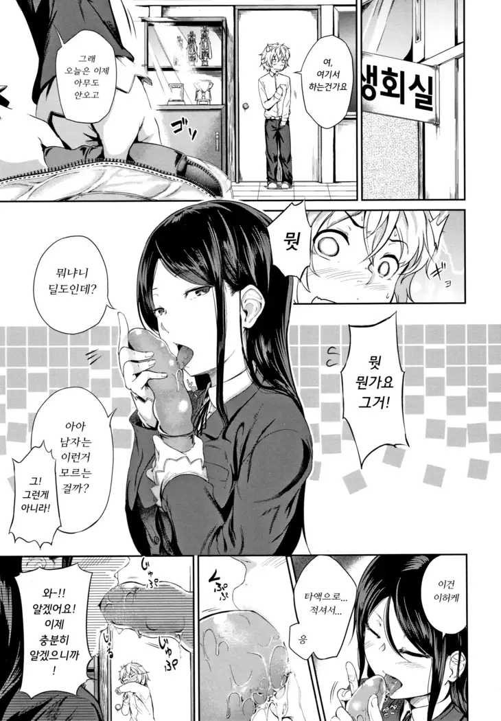 H na Jochi wa Okirai desu ka