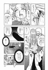 [Maeda Sengoku] Mrs. Link