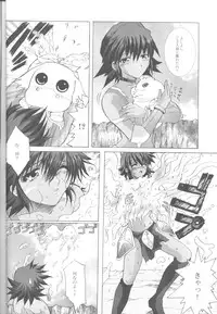 (C62) [Neko to Hato (Hatoya)] .hack//NIGHTMARE ~2nd edition~ (.hack//SIGN)