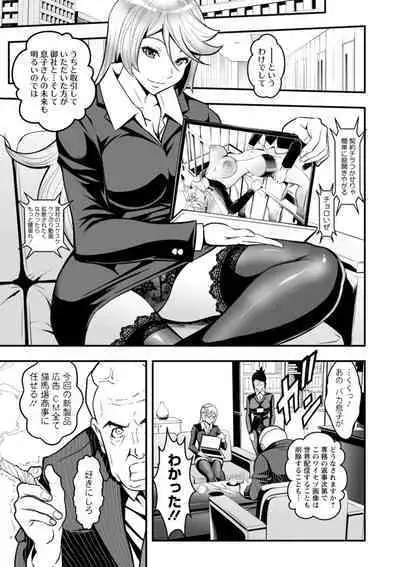 Sekkusu de kaiketsu irojikake kabushikigaisha