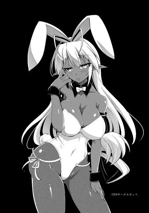 Seikou Akki Kageaki Hebereke Usagi Hen