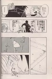 (C64) [Fusuma Goten (Shouji Haruko)] Enzai no Kiroku (Hellsing)