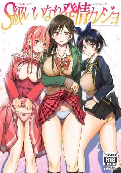 (AC2) [Samurai Ninja GREENTEA] S-kyuu Iinari Hatsujou Kanojo (Kanojo, Okarishimasu)
