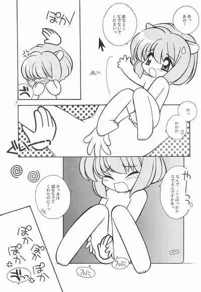 Himitsu Nikki