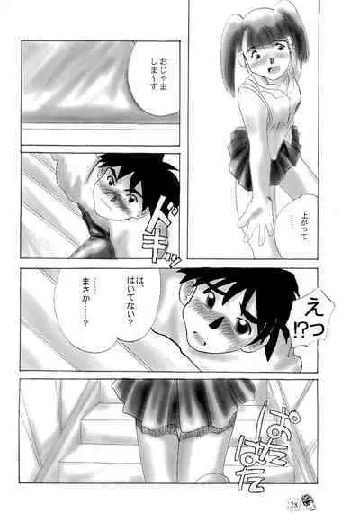 CHIBICKERS 4