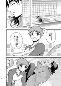 [TEKETO (Sanada)] Nyan Nyan Network (Fate/stay night) [Digital]