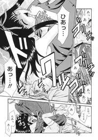 [Nekogen] Tsundere-san