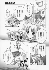 [Beti] Mataneko!