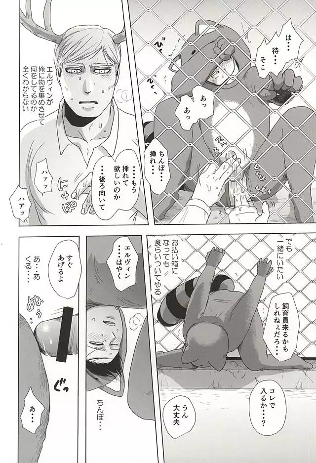 Araiguma no Levi