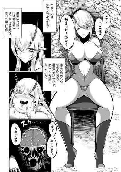 Hijobakunyuu Carnival ~Muchimuchi Ishuzoku H