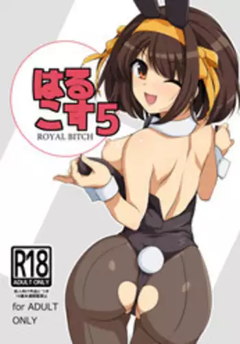 Harucos 12