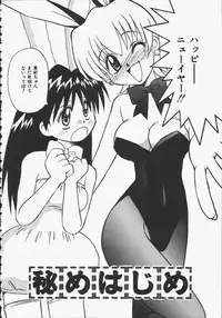 [Donkey] Yokan ha Tokimeki Crystal