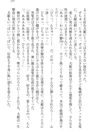 戦国犬姫！