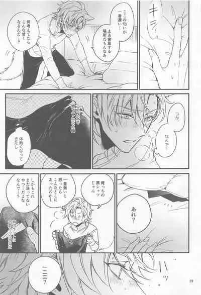 H x D COLLECTION