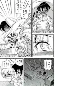 [SHION] Etsuraku no Misshitsu