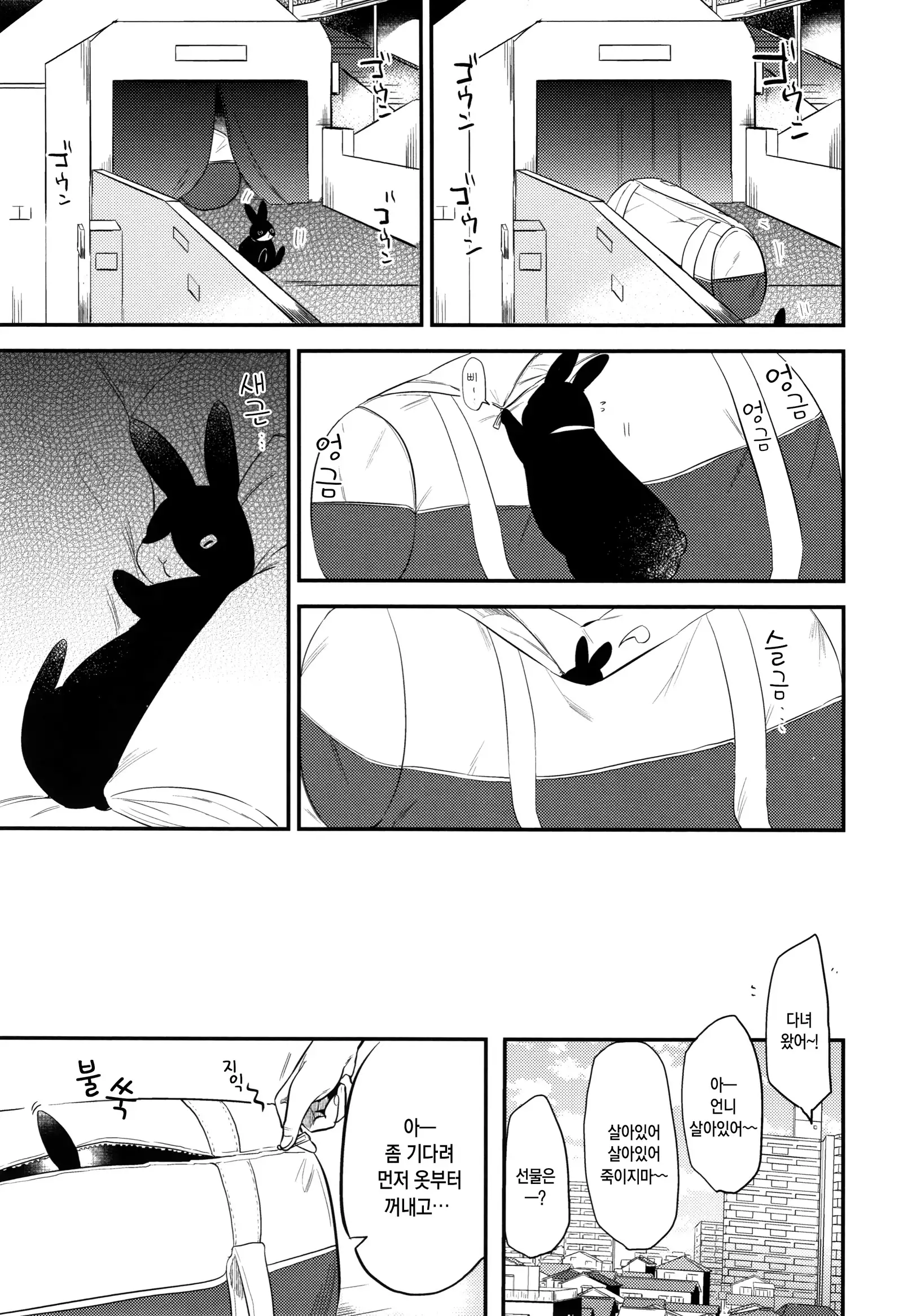 Rabbit Paradise | 래빗 파라다이스
