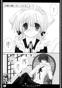 (C70) [Neko Kinryouku (NekoNeko)] NekoNeko Otona Houteishiki