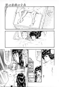 [Kobayashi Shounen] Tsubomi