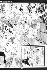 (C68) [MeroMeroFactory XL (Mochisuke Teru)] Absorption (Fate/stay night)