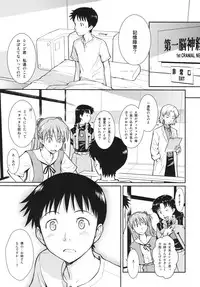 (C77) [Homunculus] White Lie (Neon Genesis Evangelion)
