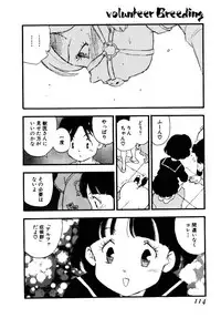 [Kaimeiji Yu] Volunteer Breeding