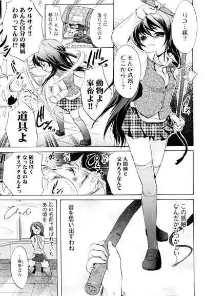 Tsundere joshi Riko-sama OL nikki