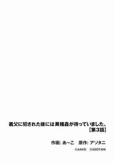 Cyberia plus Vol. 8