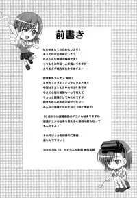 (C76) [Tamaranchi (Shinbo Tamaran)] Toaru Shimai no Ensemble (Toaru Kagaku no Railgun)