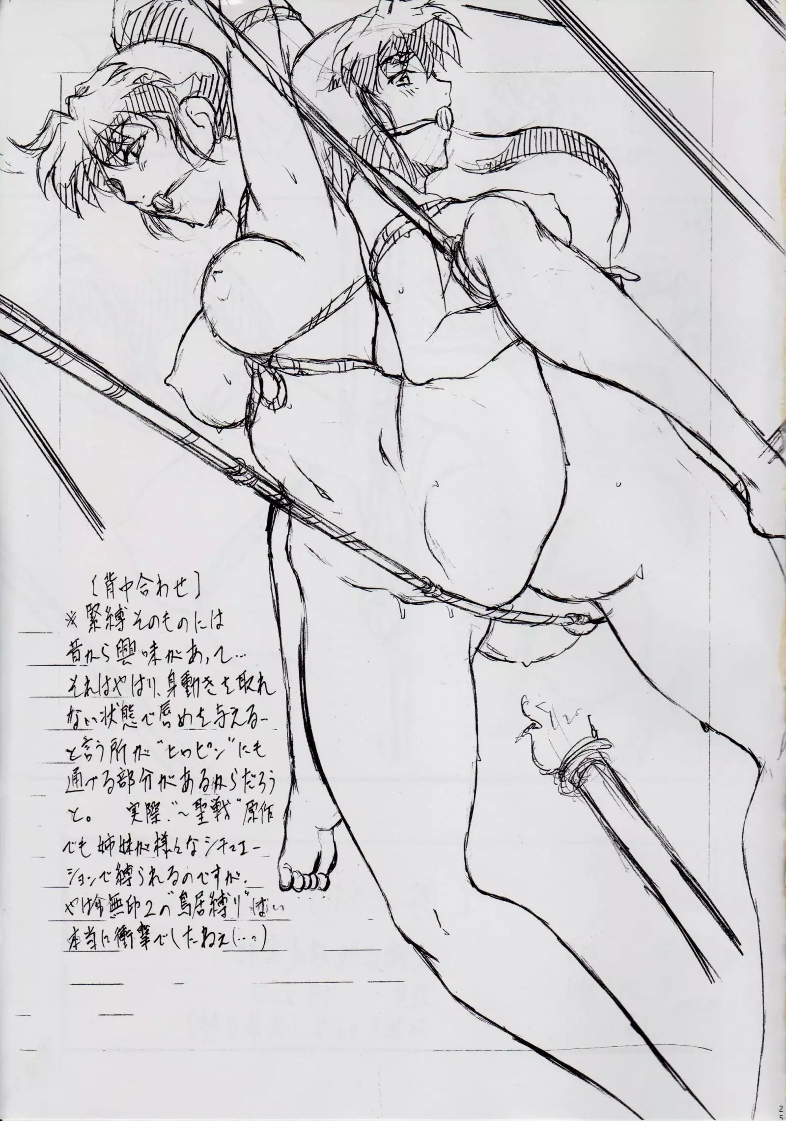 Ai & Mai DSII