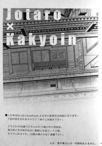 28×17,17×28