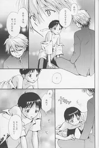 (C77) [RAYTREC (Fuyunagi Reku)] +PLUS (Neon Genesis Evangelion)
