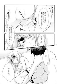 (C79) [CHAGASHI SAIBAN (Yamabuki Mook)] Kigae Chuuihou! (Infinite Stratos)