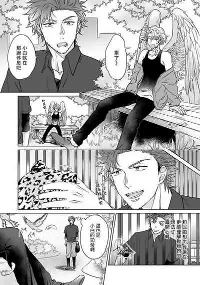 Fukurou no Koiwazurai | 猫头鹰的相思病