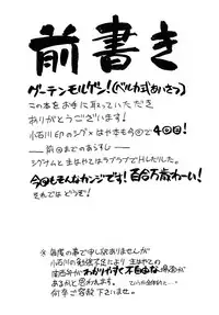 [Syamisen Koubou (Koishikawa)] ONE LIFE (Mahou Shoujo Lyrical Nanoha) [English] [Digital]