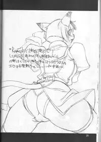 (C66) [Gadoujuku (Kawacchi Hirohiro)] Neko Neko Punch (Final Fantasy XI)