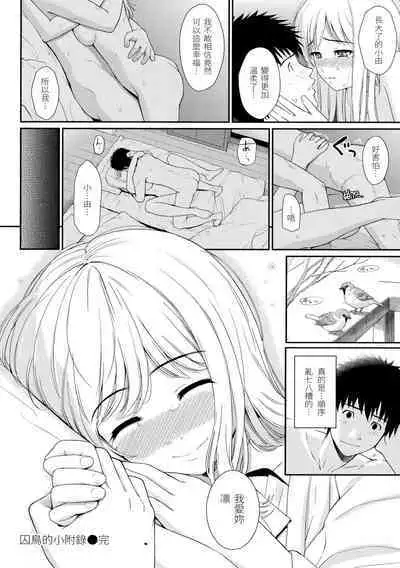 Hajirai Break︱破‧廉恥