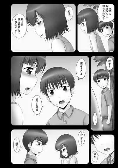 Onii-chan Setsunai no