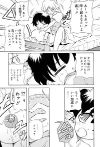 [Yasui Hirosato] Tennen Milk Pie