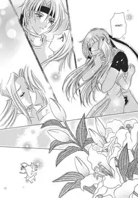 Tsuki no Hikari no Orgel