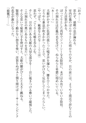 戦国犬姫！