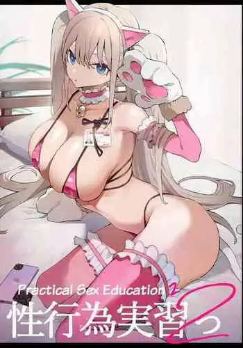 Seikoui Jisshuu 2