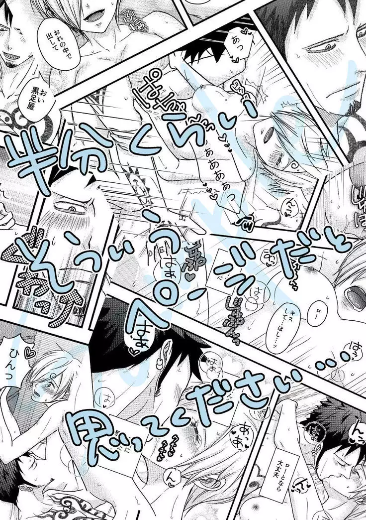 3/ 31 GLC 14 shinkan sanpuru sample